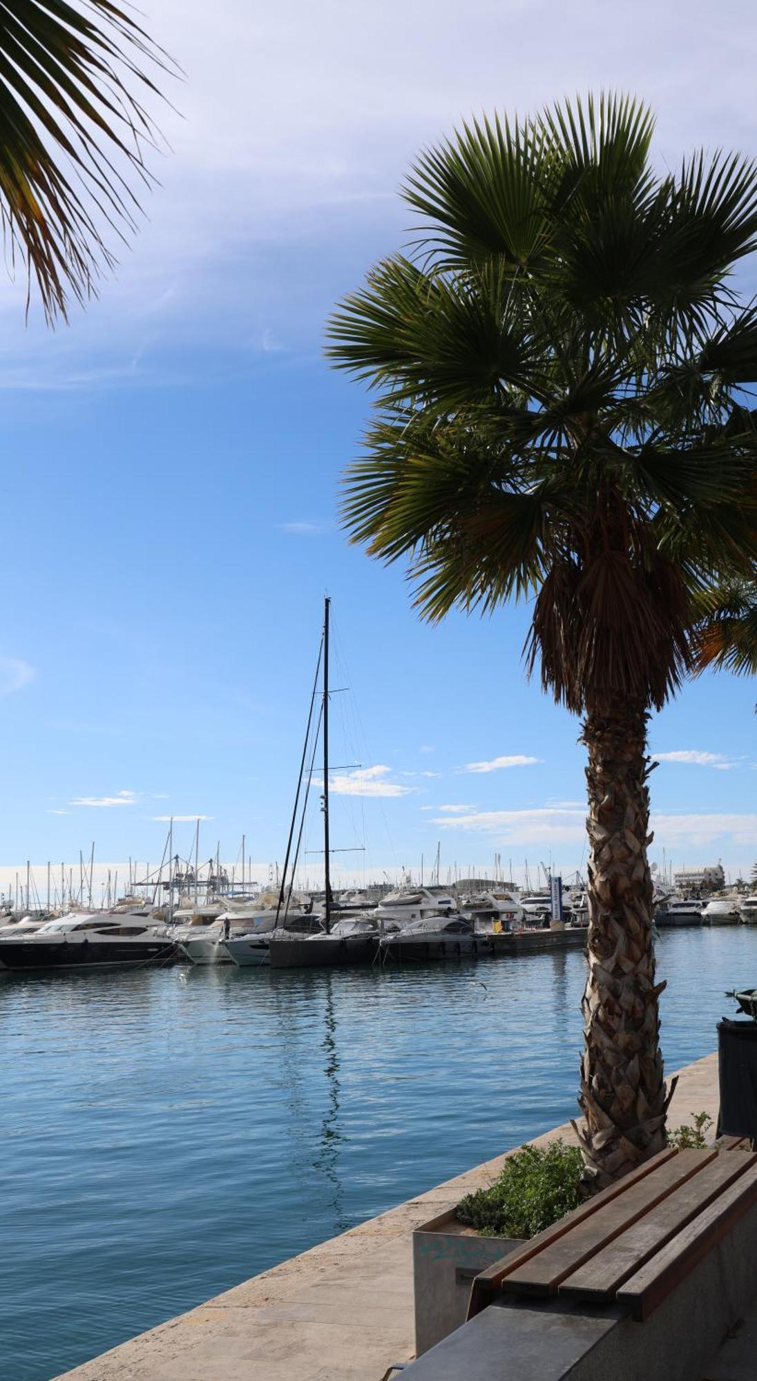 Alicantan Vital Experience Alicante Exteriör bild