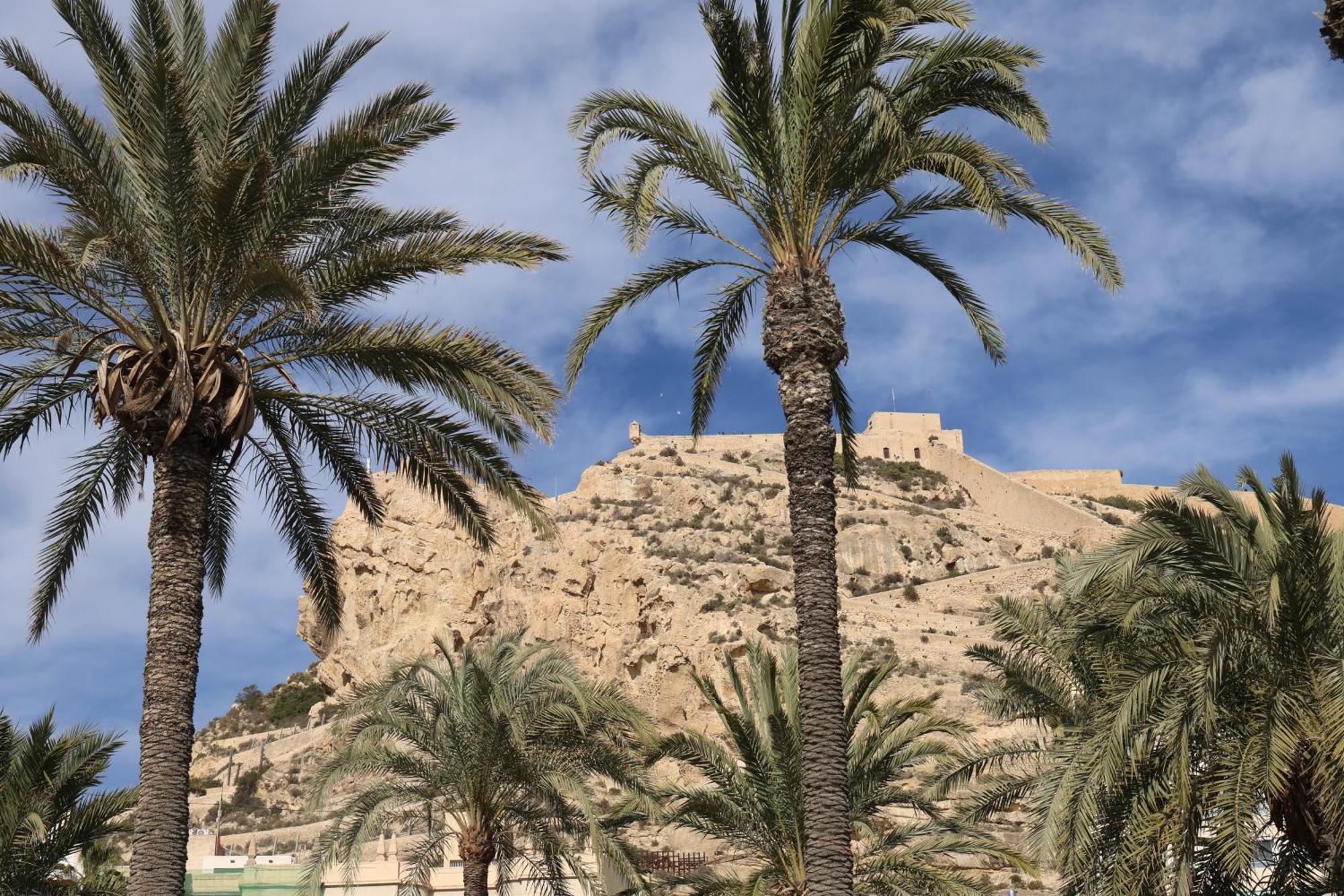 Alicantan Vital Experience Alicante Exteriör bild