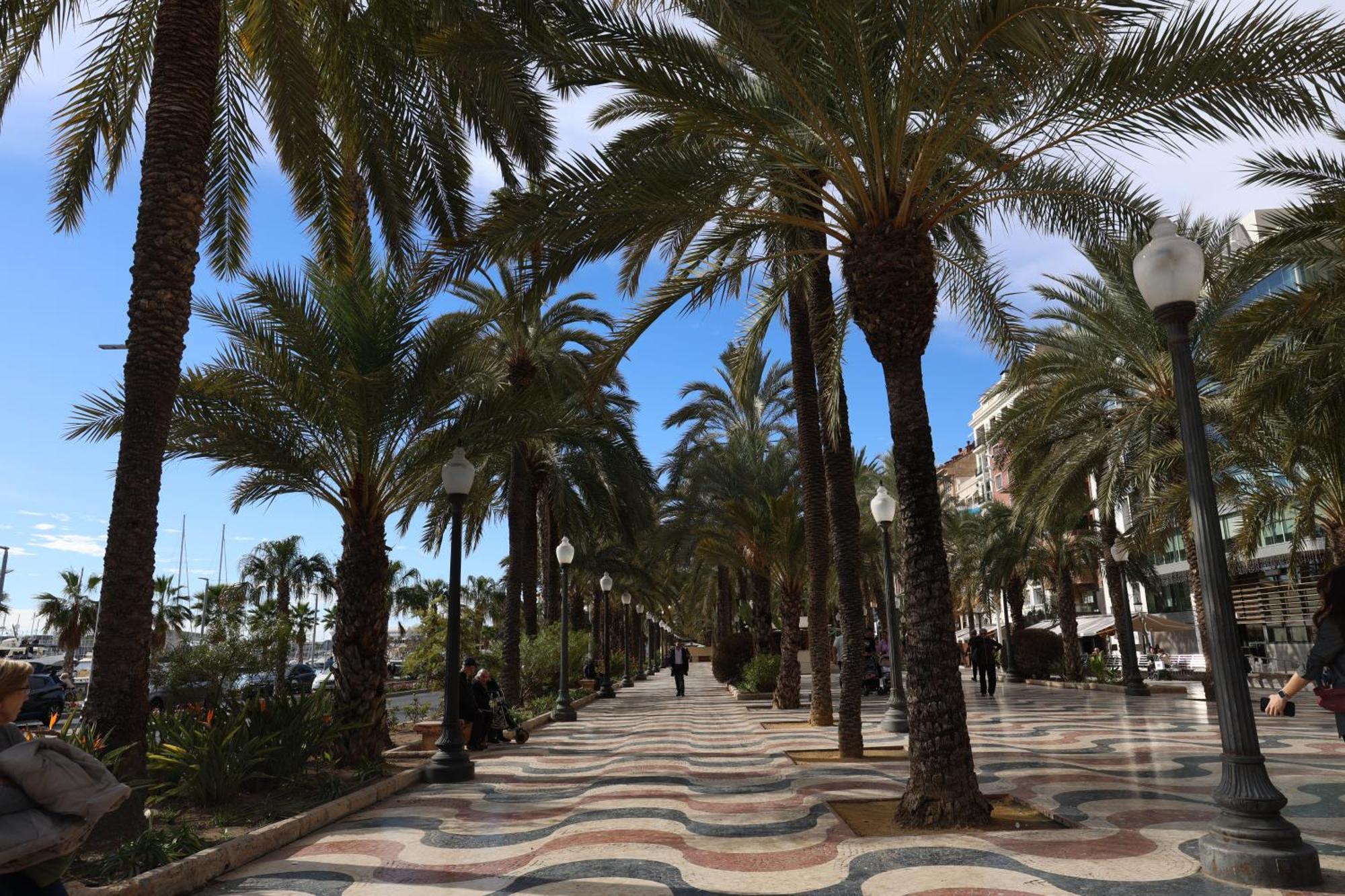 Alicantan Vital Experience Alicante Exteriör bild