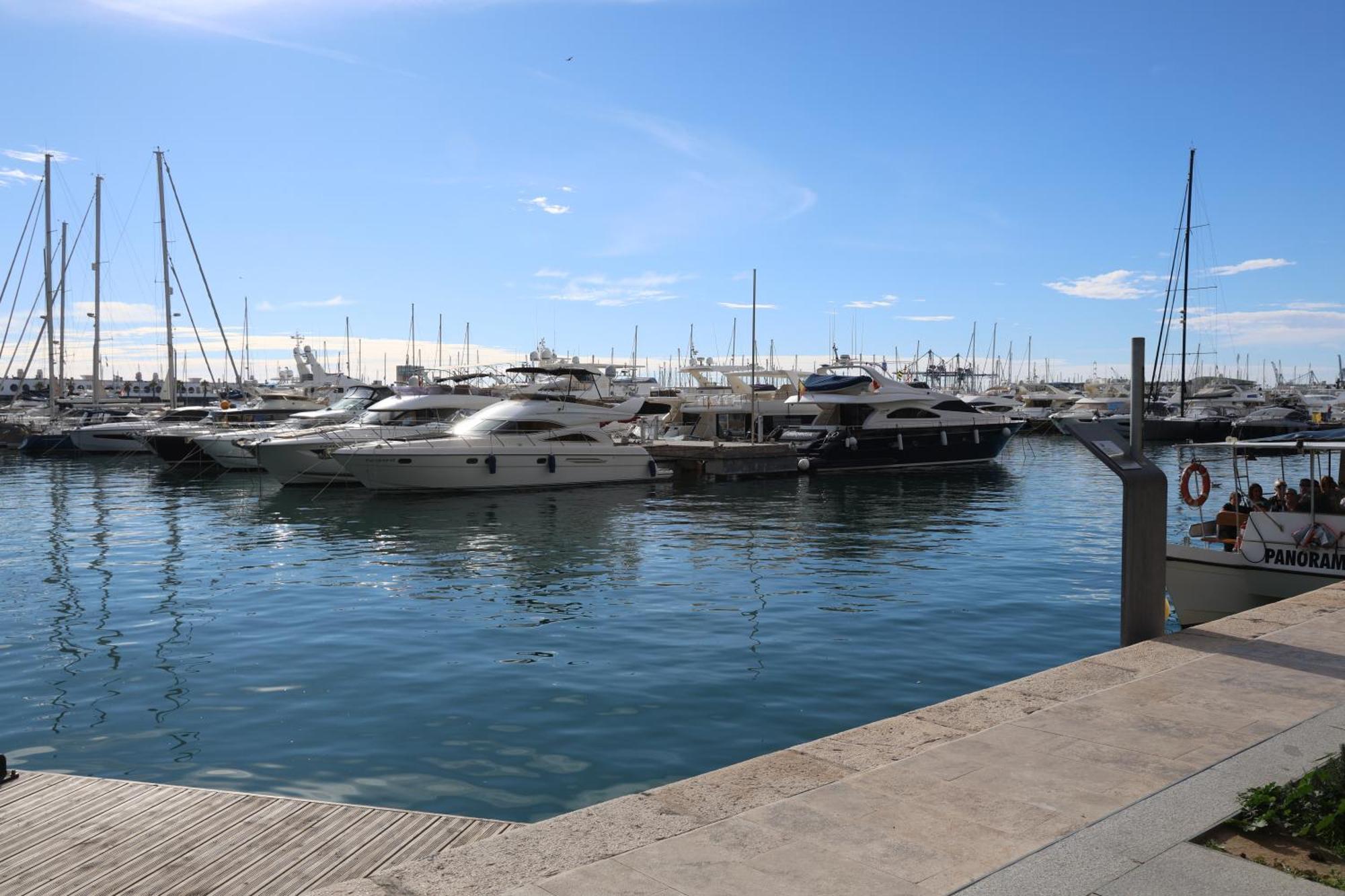 Alicantan Vital Experience Alicante Exteriör bild